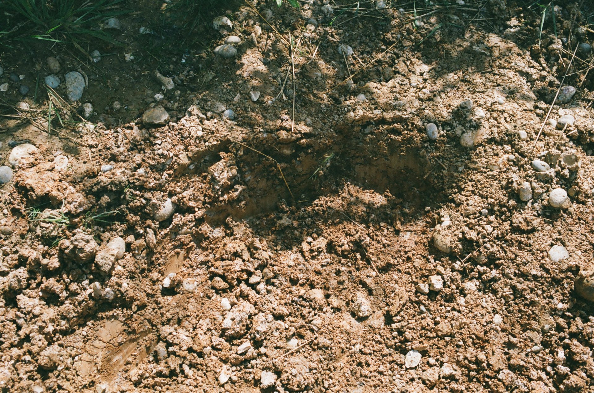 Landscape 1